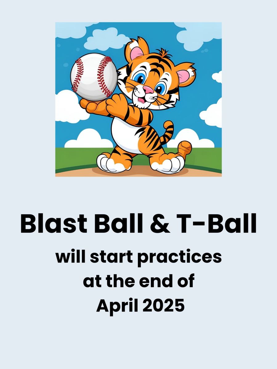 Image of baby cartoon tiger with baseball